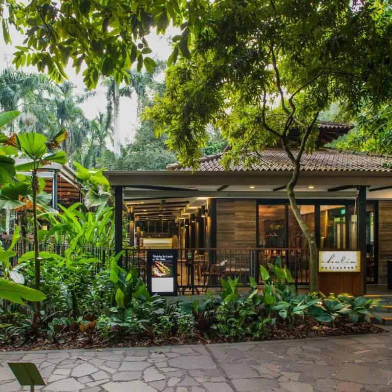 THe Halia restaurant